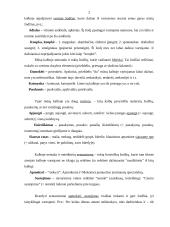 Kalbos kultūros dėstymas 2 puslapis