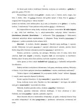 Kalbos kultūros dėstymas 4 puslapis
