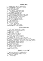 Kalbos kultūros namų kontrolinis darbas 2 puslapis