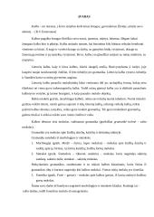 Kalbos kultūra - klaidų atradimas viešojoje erdvėje 2 puslapis