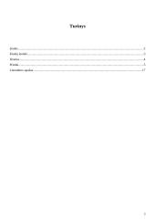 Klaidų lentelės 2 puslapis