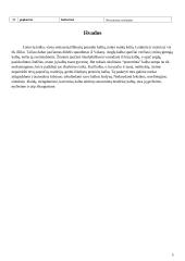 Klaidų lentelės 5 puslapis