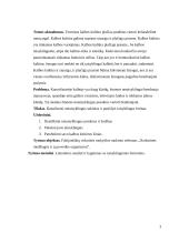 Netaisyklingi sakiniai ir jų taisymas 2 puslapis