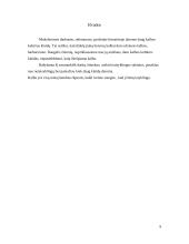 Netaisyklingi sakiniai ir jų taisymas 8 puslapis