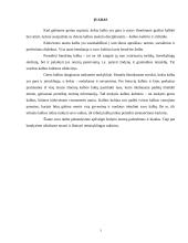 Kalbos kultūros klaidų analizė bei jų taisymas 2 puslapis