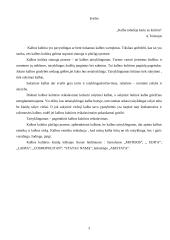 Kalbos kultūros klaidos spaudoje bei jų analizė 3 puslapis