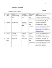 Kalbos normų pažeidimai viešojoje kalboje.  Dokumentų įforminimo pavyzdžiai 2 puslapis