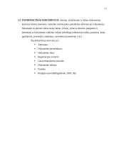 Kalbos normų pažeidimai viešojoje kalboje.  Dokumentų įforminimo pavyzdžiai 11 puslapis