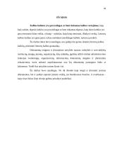 Kalbos normų pažeidimai viešojoje kalboje.  Dokumentų įforminimo pavyzdžiai 18 puslapis