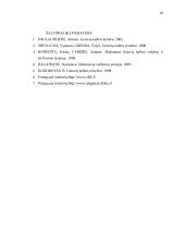 Kalbos normų pažeidimai viešojoje kalboje.  Dokumentų įforminimo pavyzdžiai 19 puslapis