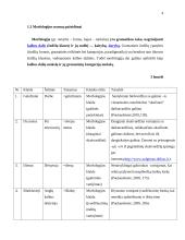 Kalbos normų pažeidimai viešojoje kalboje.  Dokumentų įforminimo pavyzdžiai 4 puslapis