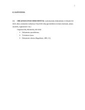 Kalbos normų pažeidimai viešojoje kalboje.  Dokumentų įforminimo pavyzdžiai 7 puslapis