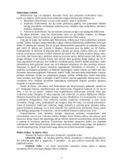 Kapitalas. Rizika 2 puslapis