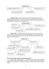 Kapitalas. Rizika 4 puslapis