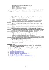 Kapitalas. Rizika 5 puslapis