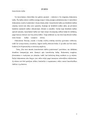 Kas man aktualu "Kanceliarinės kalbos patarimuose"? 2 puslapis