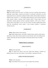 Kineziterapijoje taikomų žaidimų ugdomasis vaidmuo 11 puslapis