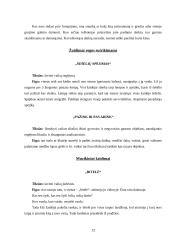 Kineziterapijoje taikomų žaidimų ugdomasis vaidmuo 12 puslapis