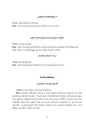 Kineziterapijoje taikomų žaidimų ugdomasis vaidmuo 8 puslapis