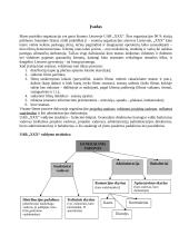 Kino filmų demonstravimo proceso valdymo praktika 2 puslapis