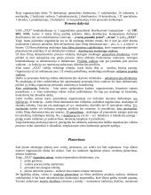 Kino filmų demonstravimo proceso valdymo praktika 3 puslapis