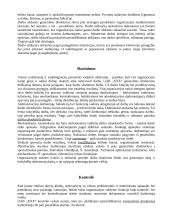 Kino filmų demonstravimo proceso valdymo praktika 4 puslapis