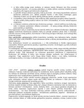 Kino filmų demonstravimo proceso valdymo praktika 5 puslapis