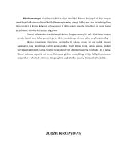 Kirčiavimo normos ir klaidos 6 puslapis