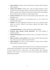 Klientų aptarnavimo strategijos 4 puslapis