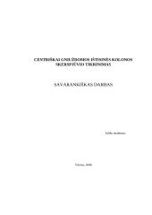 Kolonos bendras stiprumas ir pastovumas 5 puslapis