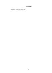 Komercinės sutarties teisinė analizė 12 puslapis