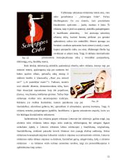 Konceptualiosios metaforos alkoholinių gėrimų reklamose 12 puslapis