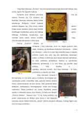 Konceptualiosios metaforos alkoholinių gėrimų reklamose 7 puslapis