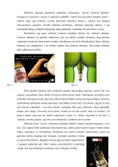 Konceptualiosios metaforos alkoholinių gėrimų reklamose 8 puslapis