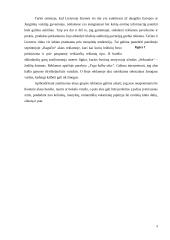 Konceptualiosios metaforos alkoholinių gėrimų reklamose 9 puslapis