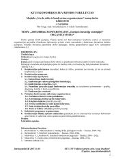 Konferencijos organizavimas: "Europos inovacijų strategijos" 2 puslapis