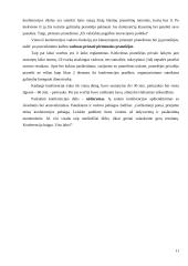 Konferencijos organizavimas: "Europos inovacijų strategijos" 11 puslapis