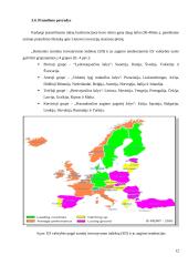 Konferencijos organizavimas: "Europos inovacijų strategijos" 12 puslapis