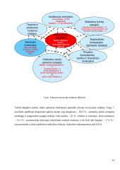 Konferencijos organizavimas: "Europos inovacijų strategijos" 14 puslapis