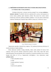 Konferencijos organizavimas: "Europos inovacijų strategijos" 16 puslapis