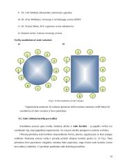Konferencijos organizavimas: "Europos inovacijų strategijos" 19 puslapis