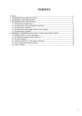 Konferencijos organizavimas: "Europos inovacijų strategijos" 3 puslapis