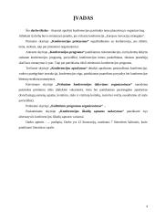 Konferencijos organizavimas: "Europos inovacijų strategijos" 4 puslapis