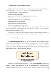 Konferencijos organizavimas: "Europos inovacijų strategijos" 10 puslapis