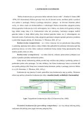 Konkurencijos rinkoje struktūrų tipai 3 puslapis