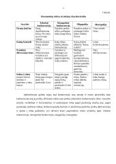 Konkurencijos rinkoje struktūrų tipai 5 puslapis