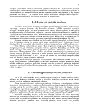 Konkurentų analizė: AB "Kalnapilis" 6 puslapis