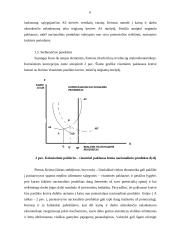 Konkuruojančios makroekonominės mokyklos 6 puslapis