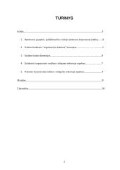 Korporacinė kultūra viešajame sektoriuje 2 puslapis