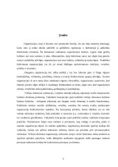 Korporacinė kultūra viešajame sektoriuje 3 puslapis